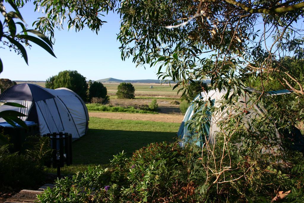 Millicent Hillview Caravan Park Εξωτερικό φωτογραφία